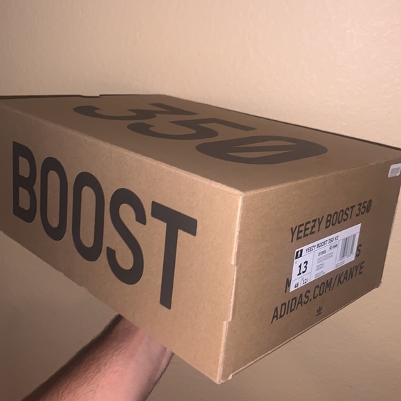 Yeezy Boost 350 - Picture 9 of 9